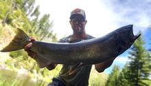 SFSR fish