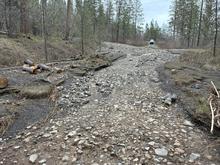 McGill spur