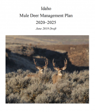 mule-deer-plan-draft-2020-cover