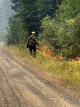 north_fork_ponderosa_pine_restoration