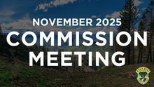 2025 november commission meeting