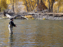 USR steelhead angler