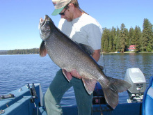 payette_lake_trout