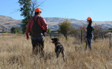 pheasant hunters