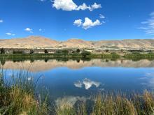 White fluffy clouds, vegetation, and surrounding hills are reflected in a still blue fishing pond.