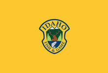 gold IDFG press release banner