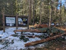 Campground cleanup
