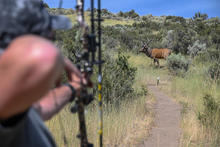 Shooting a compound bow at the Boise River WMA 3D archery range