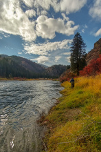 salmon_river_steelhead_scenic