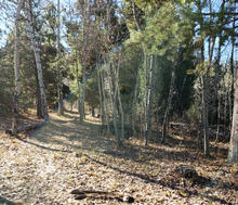 Dispersed campsite in the South Hills in GMU 54