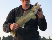 walleye_3