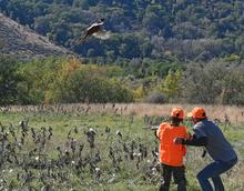 A mentored youth hunter hunts pheasants at the Niagara Springs WMA.