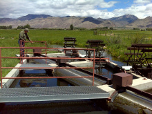 Screen tender, Gary Funk, maintains a fish screen in the Pahsimeroi Valley