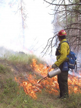 firefighter working on a controlled prescribed burn 