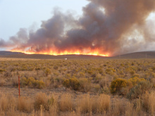 wide shot of the Rogerson fire September 29 2008