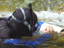 snorkel survey using cuff, photo by Mike Demick