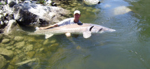 Koenig-idaho-record-fish-image-sturgeon