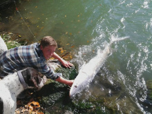 boy with his dog and sturgeon 