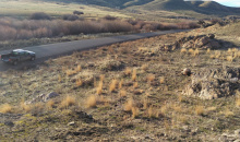 wasted_elk_near_anderson_ranch_dam_nov_2021