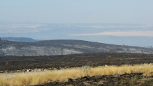 Tex Creek WMA, Henry's Creek Fire willow_creek_from_red_granary_site.jpg