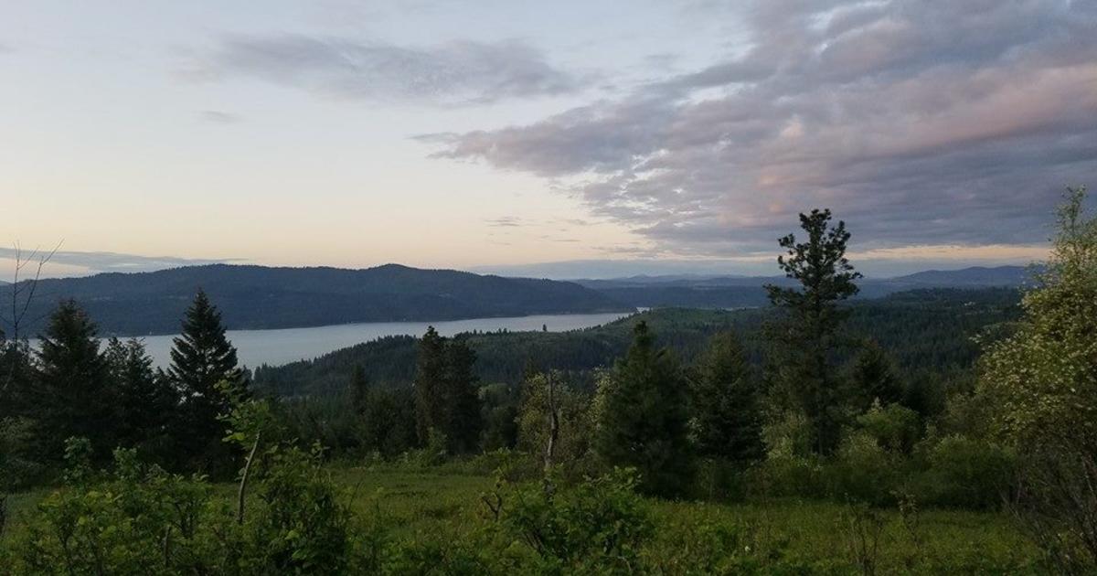 12,750 acres removed from Large Tracts Program after additional sale between Stimson Lumber Company and the Coeur d’Alene Tribe