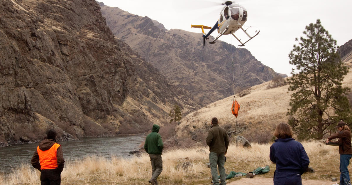 Area residents should be aware that they may see low flying helicopters over areas within Game Management Units 11, 13, 14, and 18 in the near future