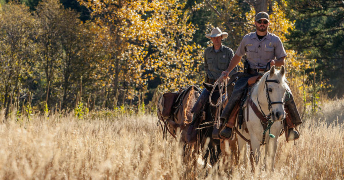 Enforcement | Idaho Fish And Game