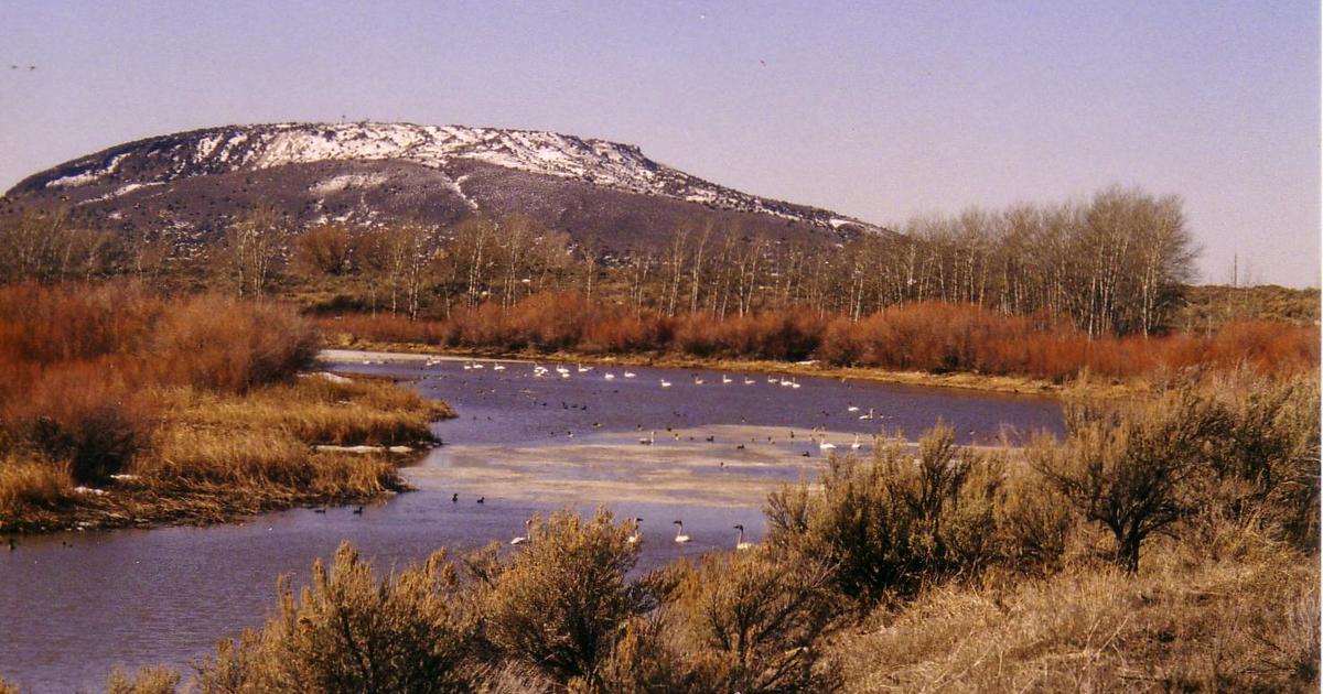 Cartier Slough WMA Idaho Fish and Game