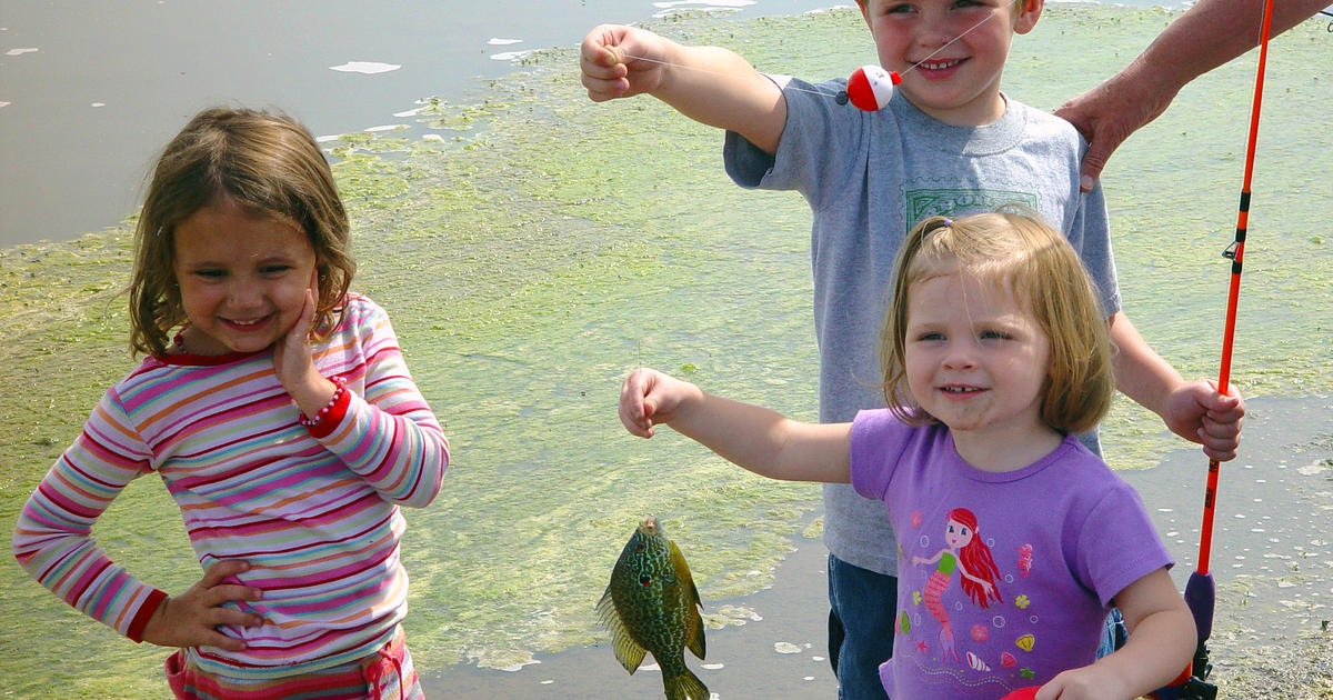 Top 5 Tips for Taking Children Fishing – From Ade Kiddell