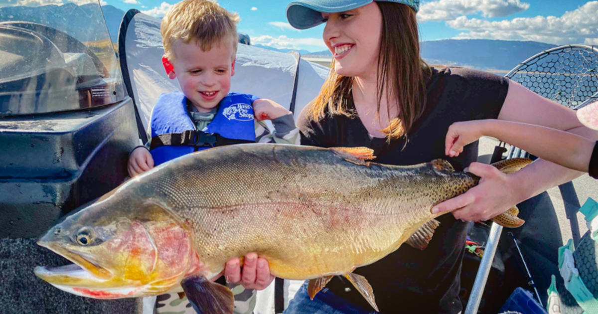 Henrys Lake sets new state record hybrid trout | Idaho Fish and Game