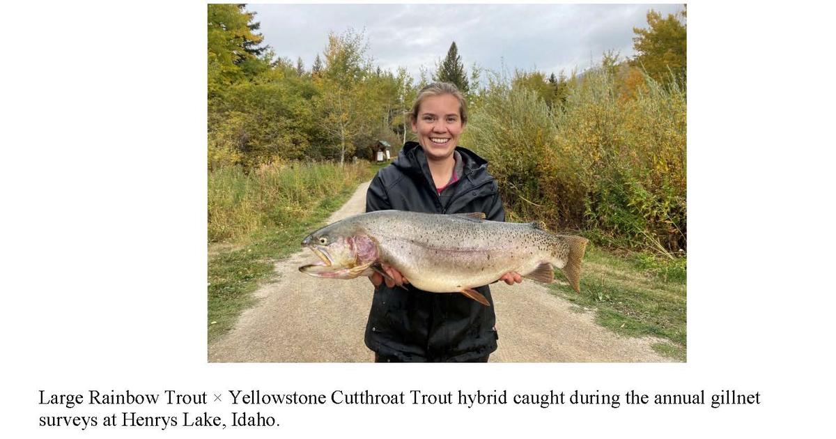 Blog - High Water Cutthroat Fishing