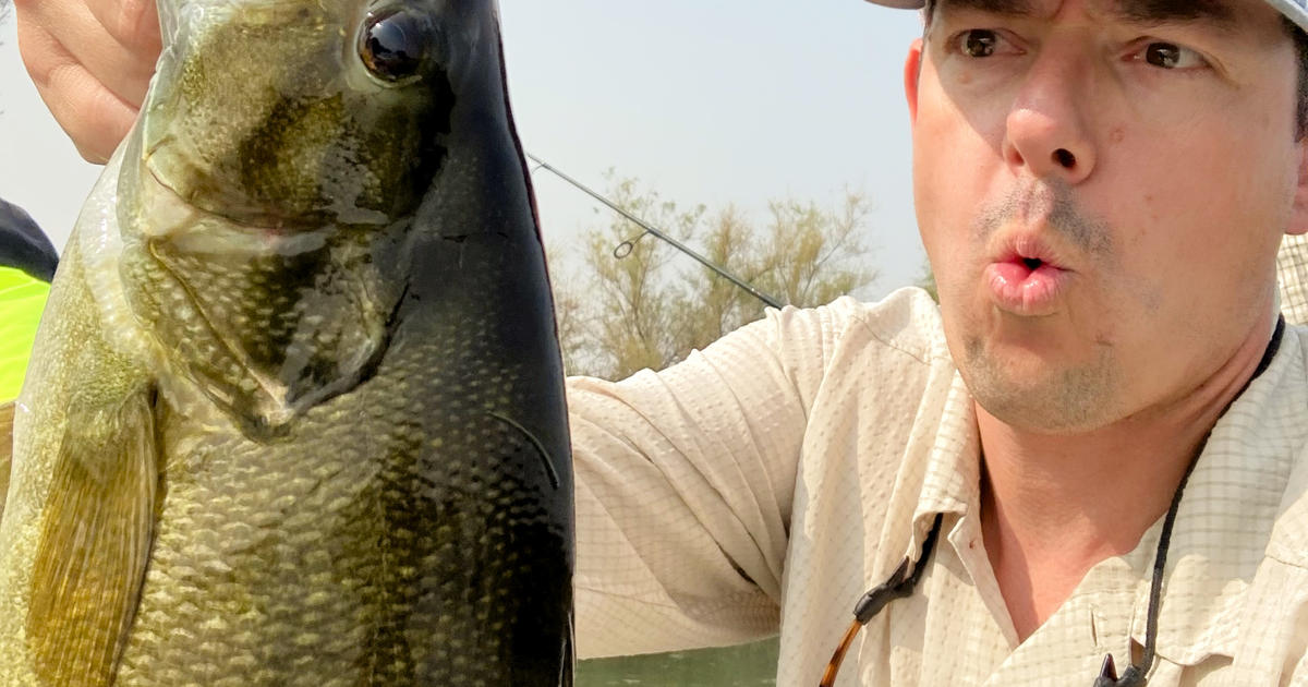 The opportunity to fish for some of the state's biggest bass is now (and  you don't need to be a seasoned tournament pro to have a successful outing)