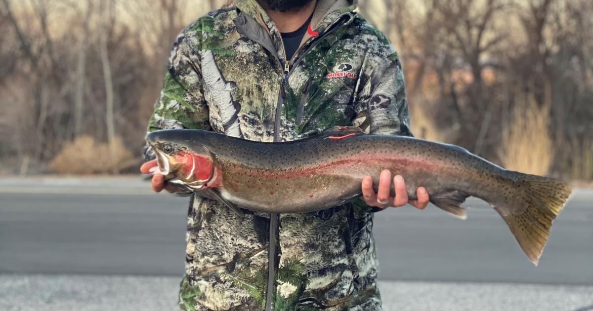 Catching Steelhead In Idaho’s Capital City, Survey Shows Anglers Catch ...