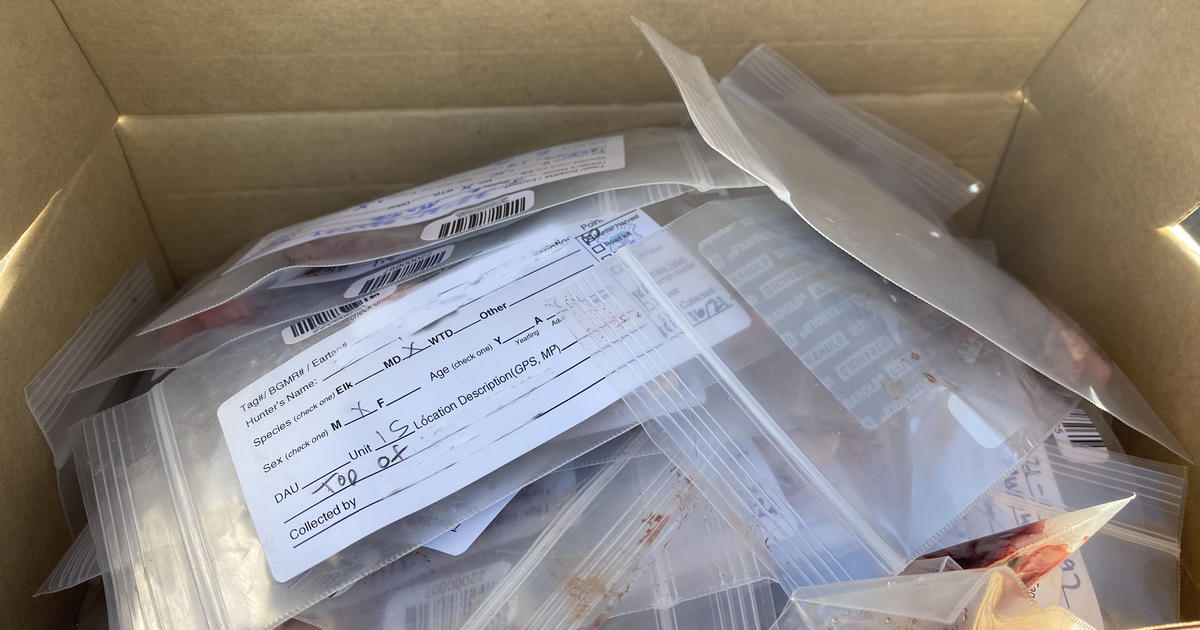 A box of lymph node samples for CWD testing