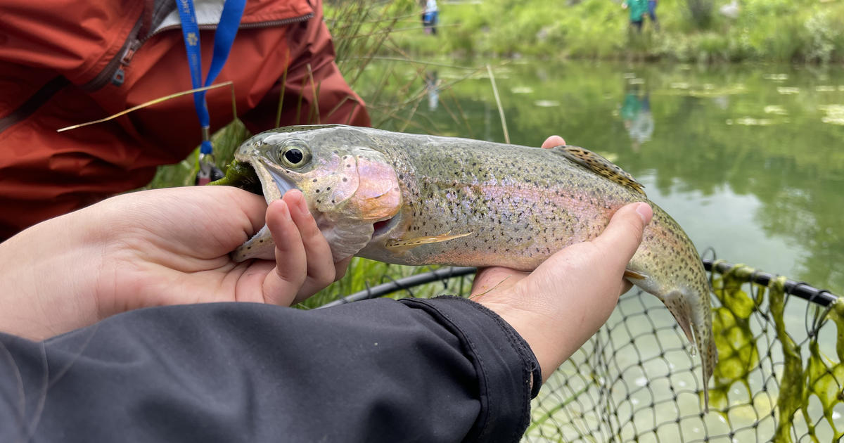 Fish Salvage Order Issued for Karolyn’s Pond