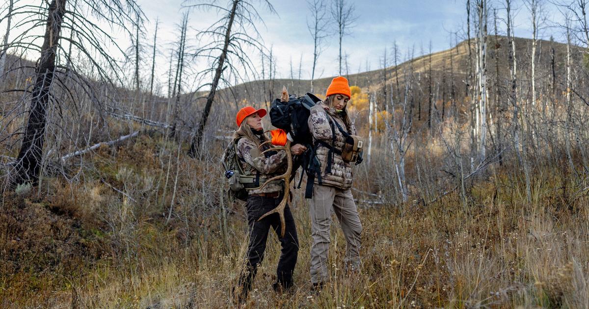 Hunters urged to be extra cautious this season as bear activity increases