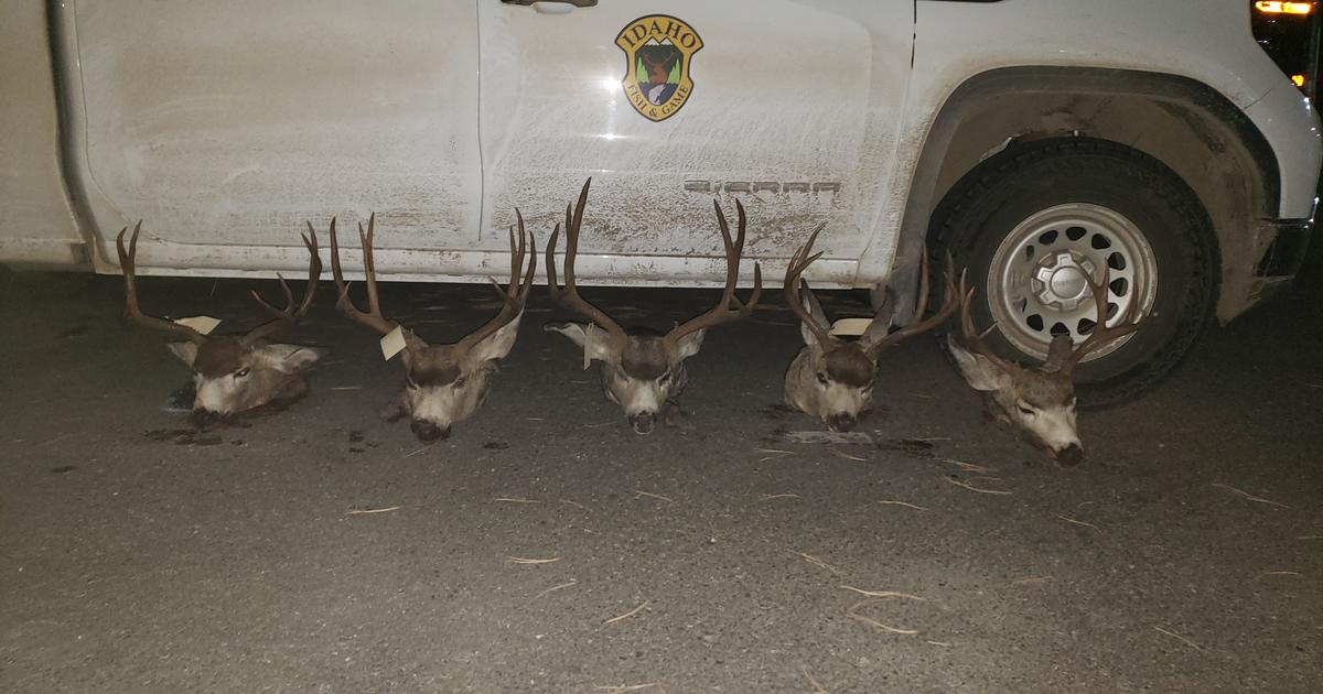 Two-year investigation leads to multiple convictions for wildlife violations in Twin Falls County