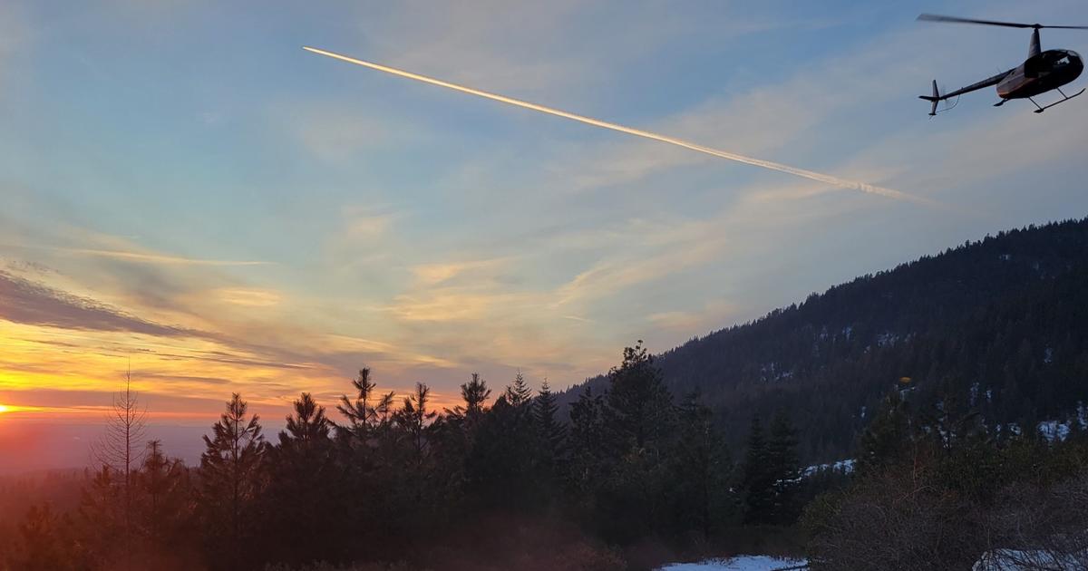 Fish and Game to capture and GPS-collar elk calves to support long-term elk management in North Idaho
