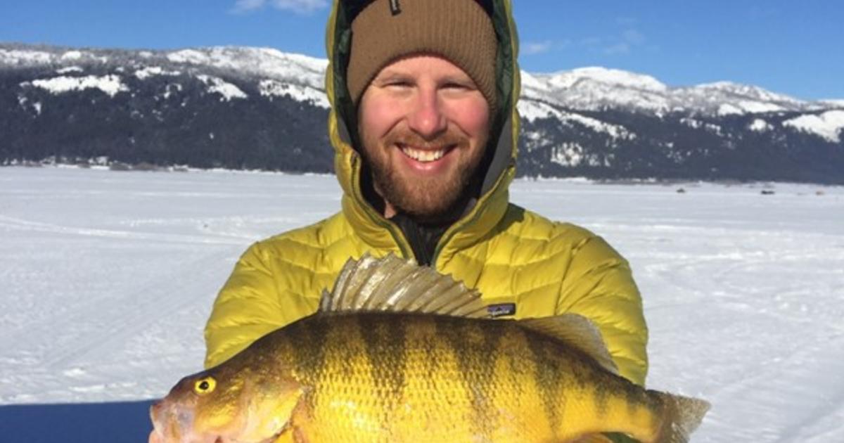As world-class perch fishing at Lake Cascade continues, managers look to  the future