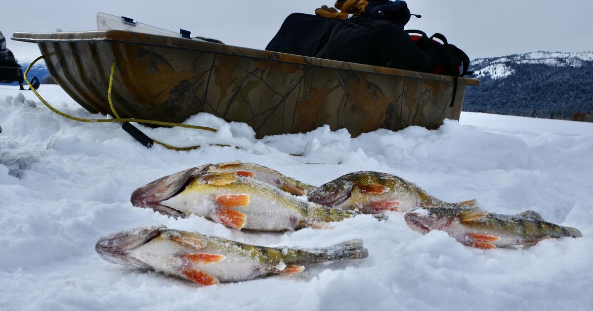 How to Get Started with the Exciting, Dynamic Sport of Ice Fishing
