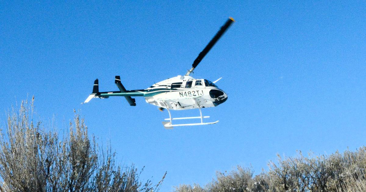 Deer population surveys near Salmon and Challis to begin soon