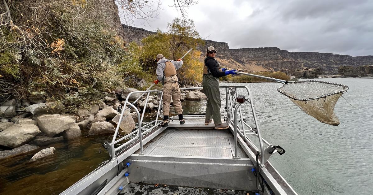 Idaho anglers can use fish aggression to catch quarry