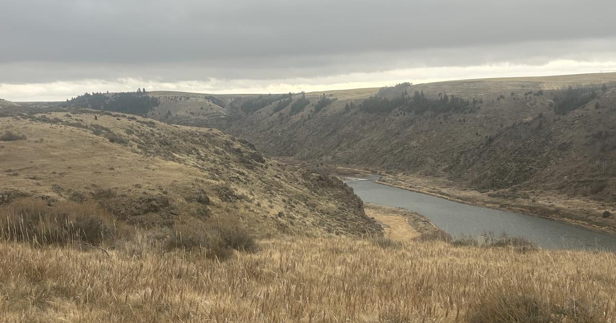 Seasonal motorized closures and habitat work aim to secure the future of the Teton Canyon elk and deer herds