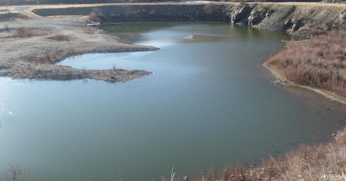 Catchable rainbow trout returned to Long Gulch Pond!