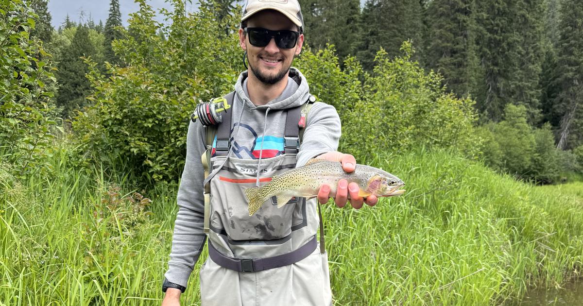New certified-weight record for Westslope cutthroat trout shocks fish biologists