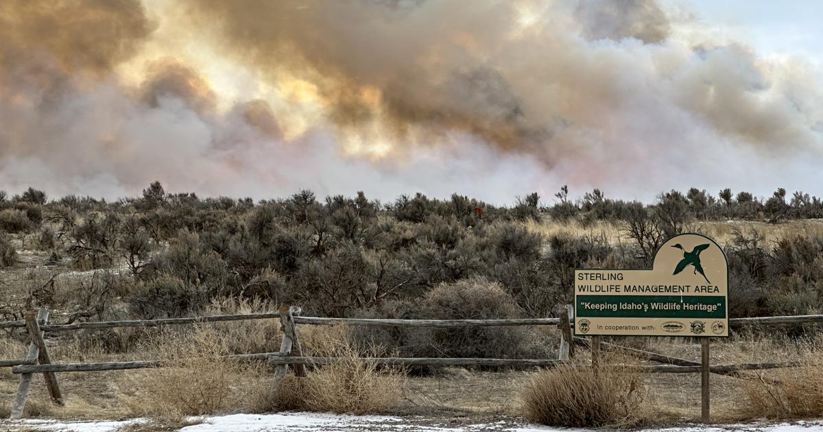 Portion of Sterling Wildlife Management Area in southeastern Idaho will be closed for upcoming prescribed burn