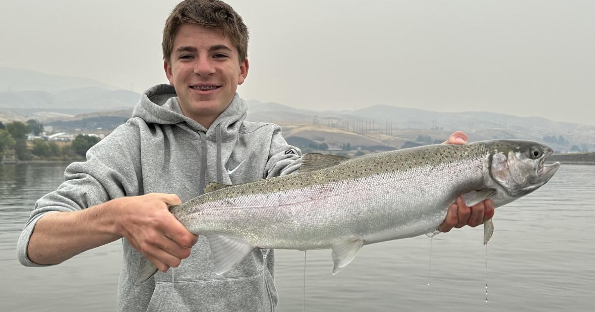 Idaho's Steelhead Fishery Update: Oct. 25, 2023 | Idaho Fish And Game