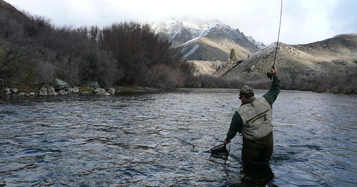 Fly Fishing the Colorado River near Lone Buck 