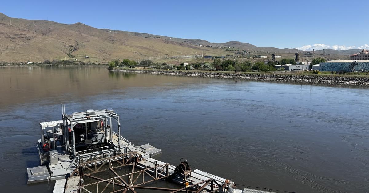 From River to Ocean: The Snake River Smolt Monitoring Program