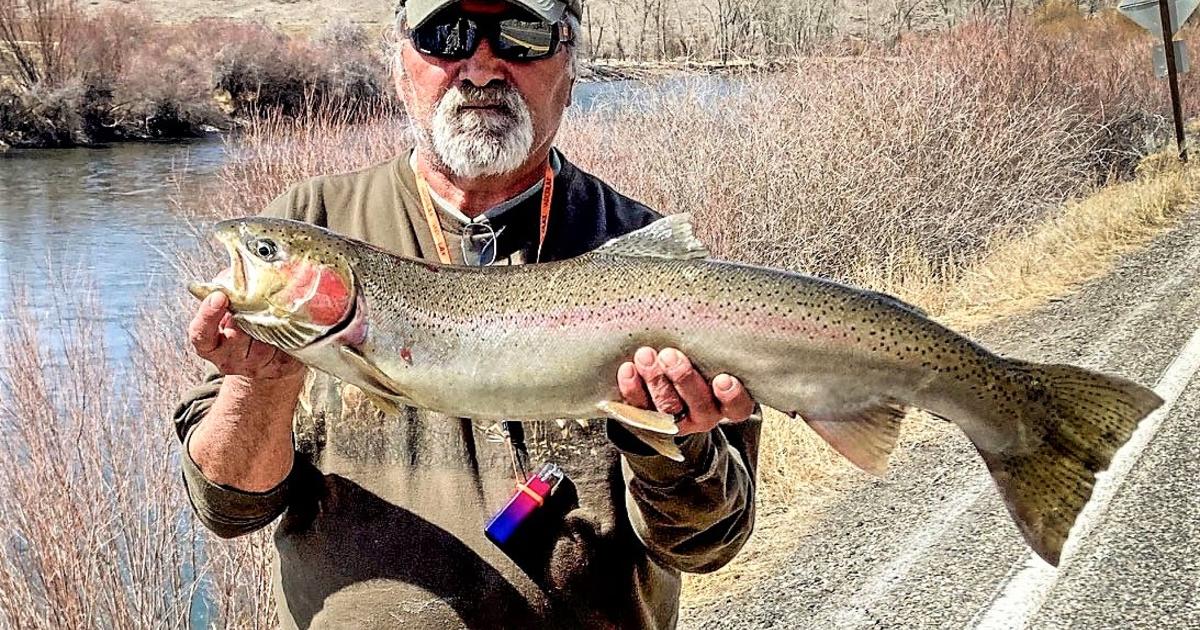 April 18: Upper Salmon River Weekly Steelhead Fishing Report | Idaho ...